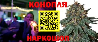 прущие грибы Ливны