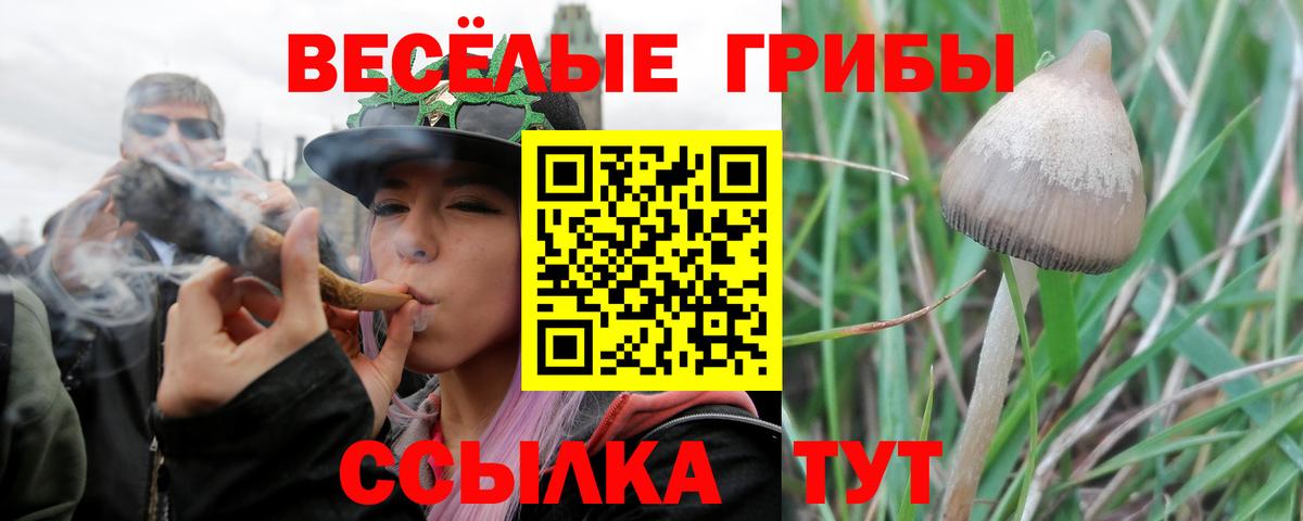 Галлюциногенные грибы мухоморы Добрянка