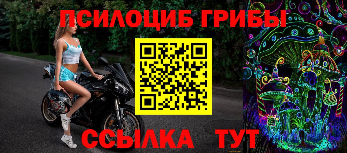 Добрянка  Псилоцибиновые грибы Psilocybe  Вход с VPN 